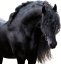 Samolepky koně 1