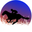 Hrnek kůň silueta č.3 - Druh hrnečku: černý