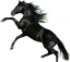 Samolepky koně 2