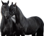 Samolepky koně 2