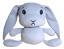 Šedá