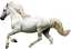 Samolepky koně 1