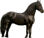 Samolepky koně 2