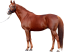 Samolepky koně 2
