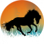 Hrnek kůň silueta č.4 - Druh hrnečku: světle modrý