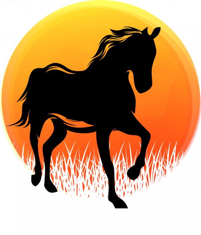 Hrnek kůň silueta č.3 - Druh hrnečku: tmavě modrý