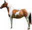 Samolepky koně 1