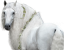 Samolepky koně 2