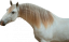 Samolepky koně 2