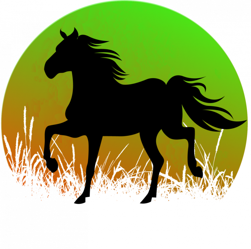 Hrnek kůň silueta č.1 - Druh hrnečku: zelený