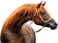 Samolepky koně 1