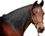 Samolepky koně 2