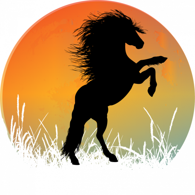 Hrnek kůň silueta č.2 - Druh hrnečku: tmavě modrý