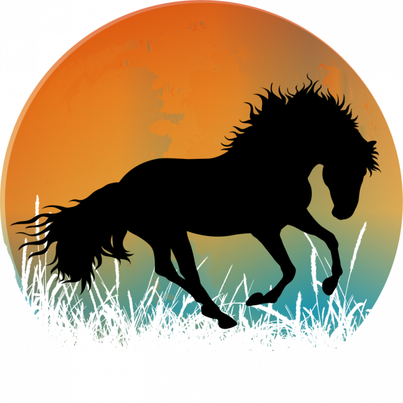 Hrnek kůň silueta č.4 - Druh hrnečku: světle modrý