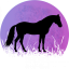 Hrnek kůň silueta č.2 - Druh hrnečku: tmavě modrý