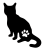 kočka