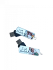 Flash disky