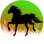 Hrnek kůň silueta č.1 - Druh hrnečku: zelený