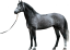 Samolepky koně 2