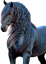 Samolepky koně 1