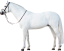 Samolepky koně 1