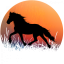 Hrnek kůň silueta č.4 - Druh hrnečku: růžový