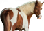 Samolepky koně 2